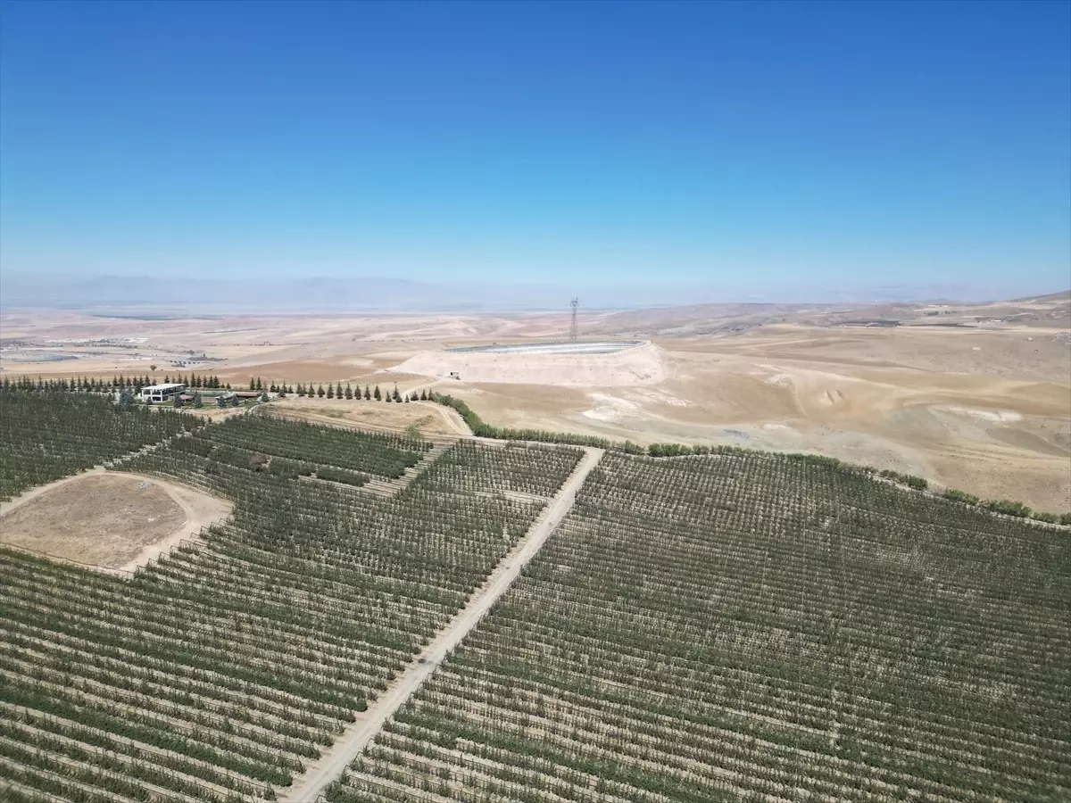 Ulukışla\'da Çiftçiler Sulama Havuzları İnşa Ediyor