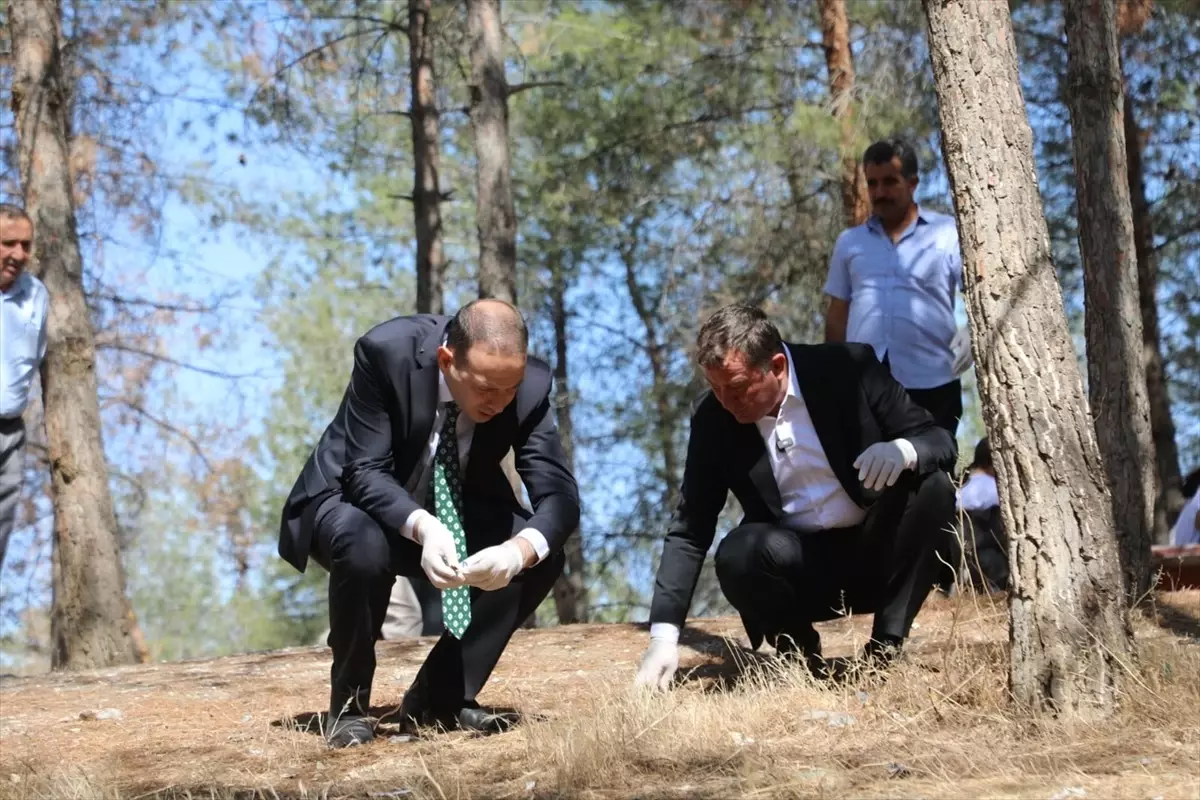 Nizip\'te Çevre Temizliği Etkinliği