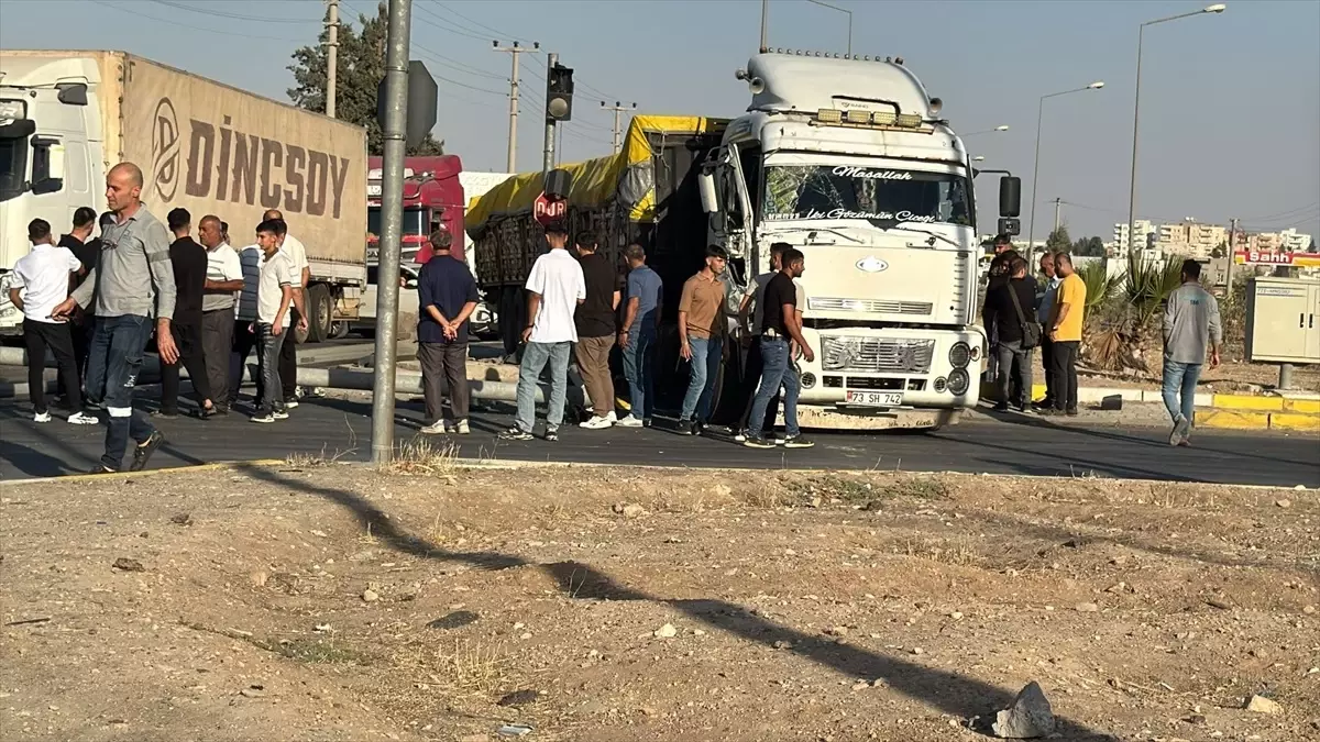 Nusaybin\'de Tır, Sinyalizasyon Direğine Çarptı