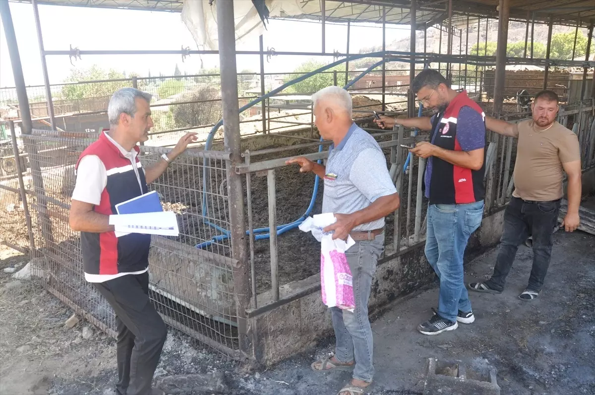 Hayvanlar Sahiplerine Teslim Edildi