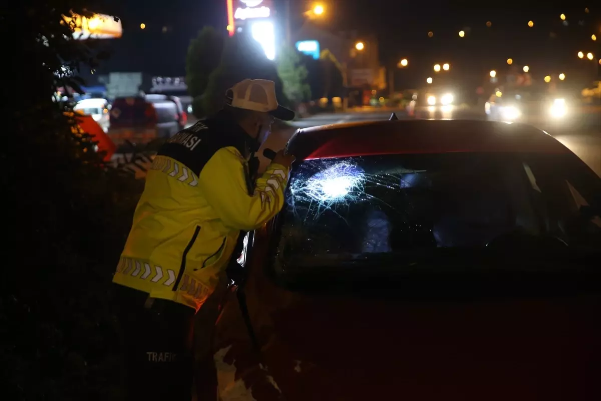 Ordu\'da Yaya Trafik Kazasında Hayatını Kaybetti