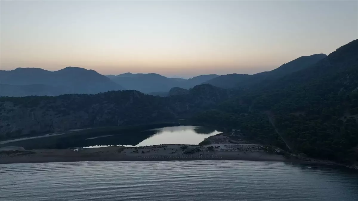 40 Bin Yavru Kaplumbağa Denize Kavuştu