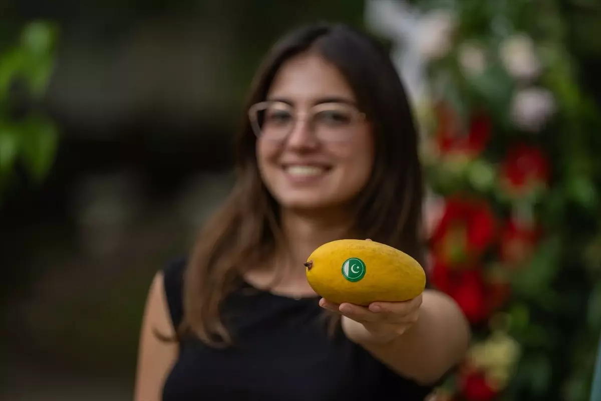 Pakistan\'dan Mango Festivali