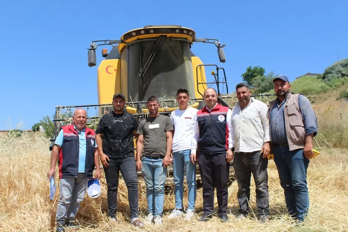 Pazar\'da Arpa Hasadı Başladı