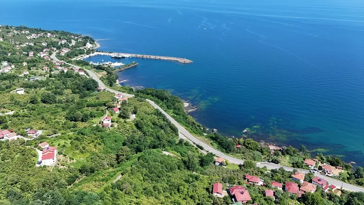 Ordu\'da Doğa Harikası Güzergah