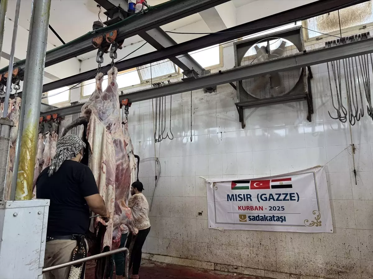 Gazze için Kurban Kesimi Tamamlandı