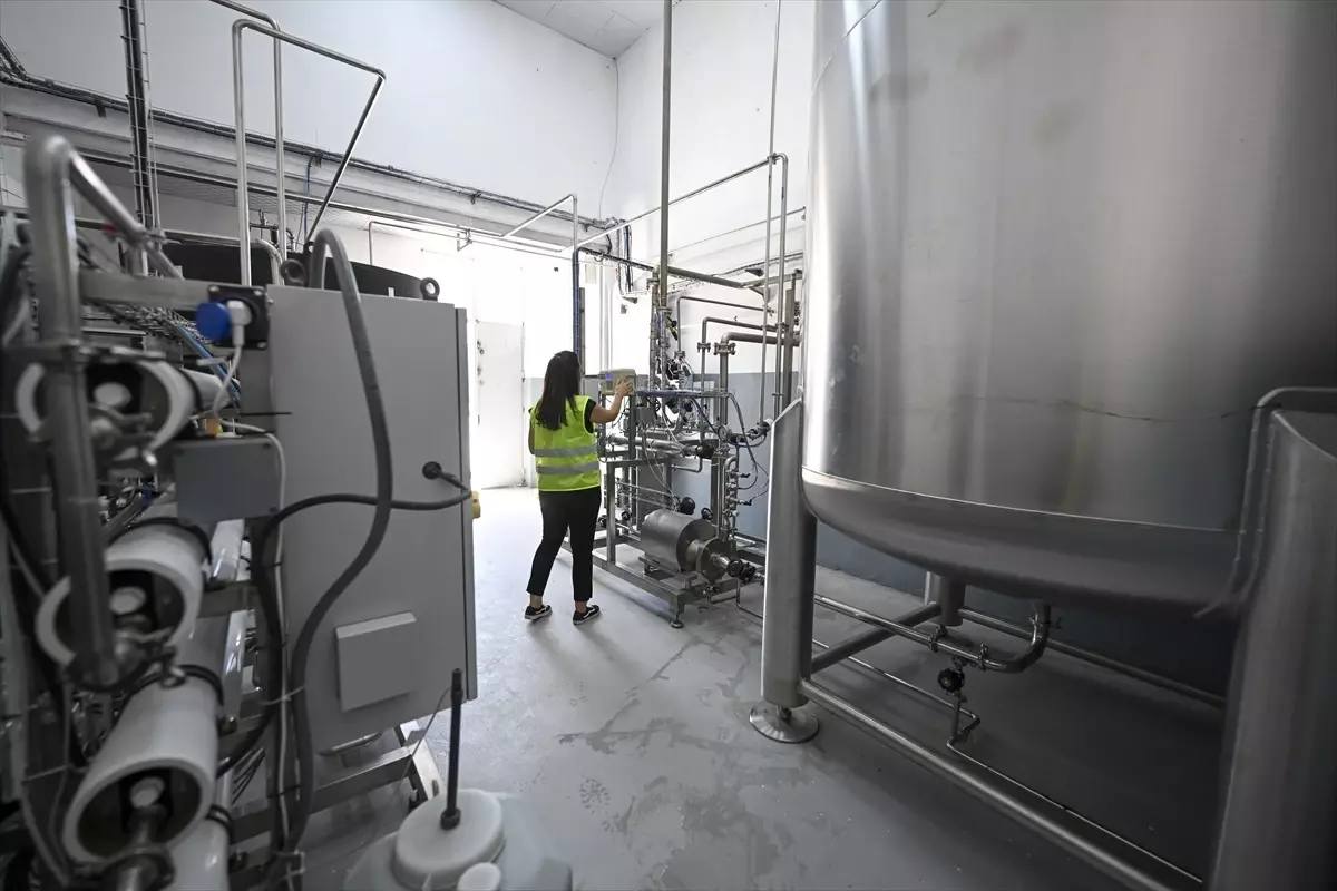 Safir Tuz, "aktif farmasötik tuz" üretimiyle ülke ekonomisine katkı sağlamayı hedefliyor