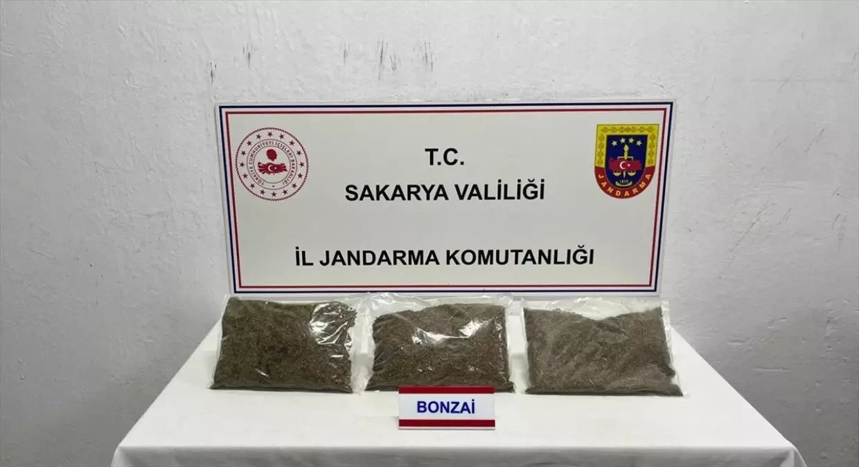 Sakarya\'da 2,75 kg Uyuşturucu Ele Geçirildi