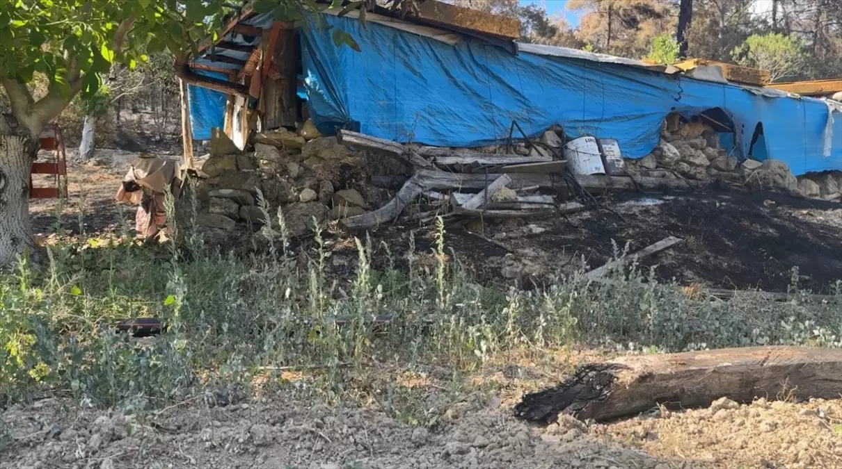 Taraklı\'daki Yangın Çiftçiyi Vurdu