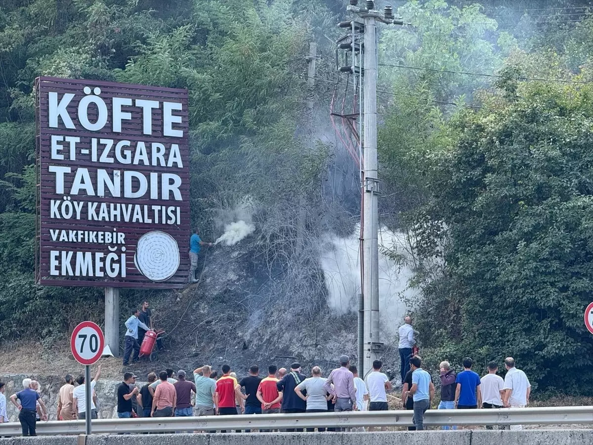 Geyve\'de Yangın Kontrol Altında