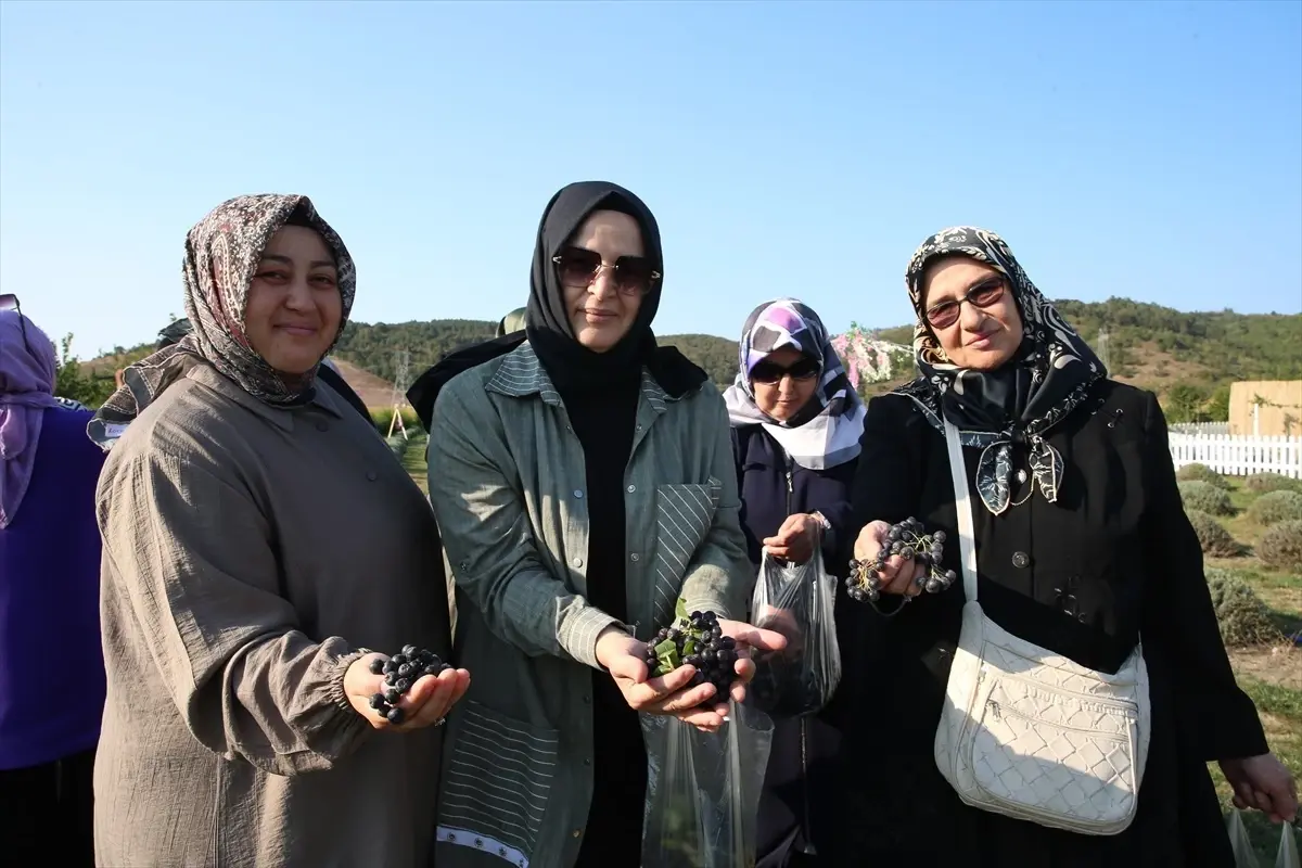 Kanser Hastalarına Moral: Lavanta Bahçesinde Buluşma