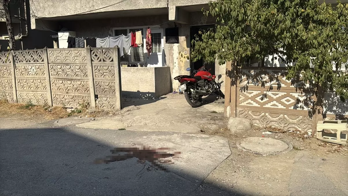 Babasını Yaralayan Oğul Gözaltında