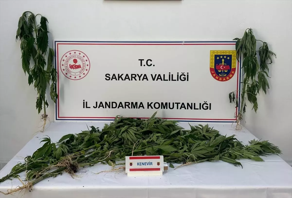 Sakarya\'da Uyuşturucu Operasyonu: 3 Tutuklama