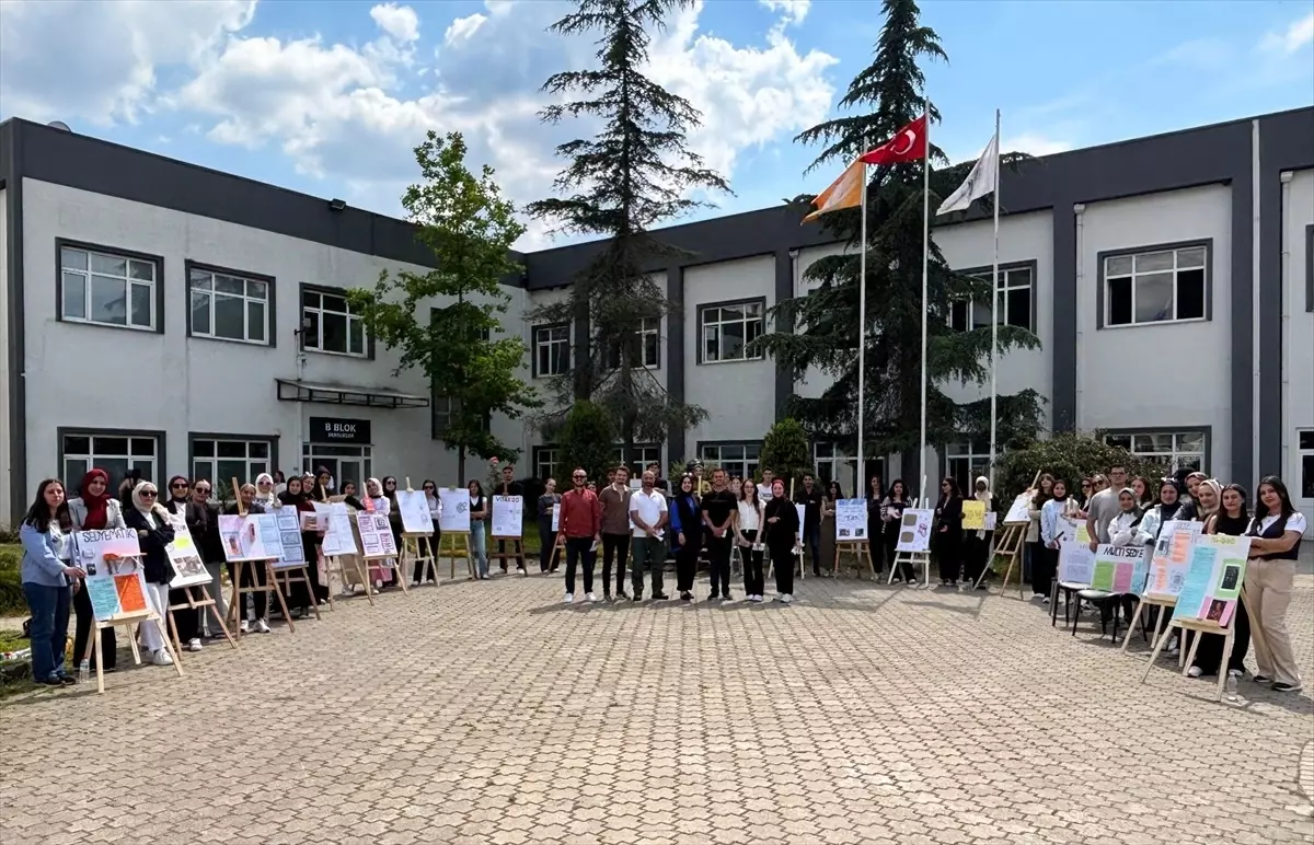 Ferizli\'de Sosyal Tesis Projesi
