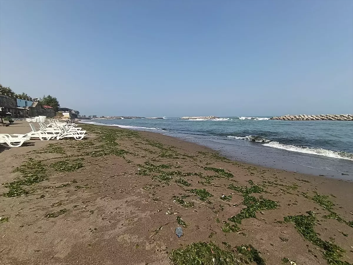 Sakarya ve Düzce\'de Denize Giriş Yasaklandı