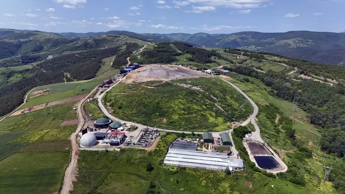 Samsun\'da Geri Dönüşümle Ağaç Kesimi Önleniyor