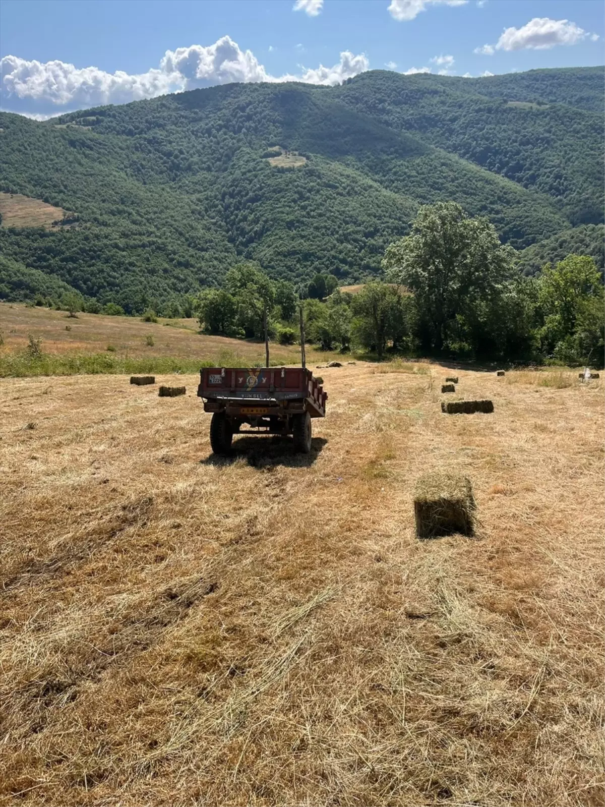 Bafra\'da Traktör Devrildi, Sürücü Hastaneye Kaldırıldı