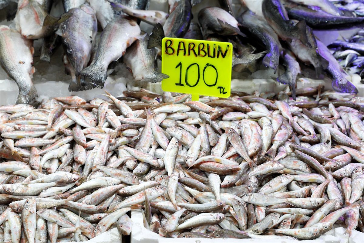 Balık Tezgahlarında Bolluk: Hamsi ve Mezgit Bol