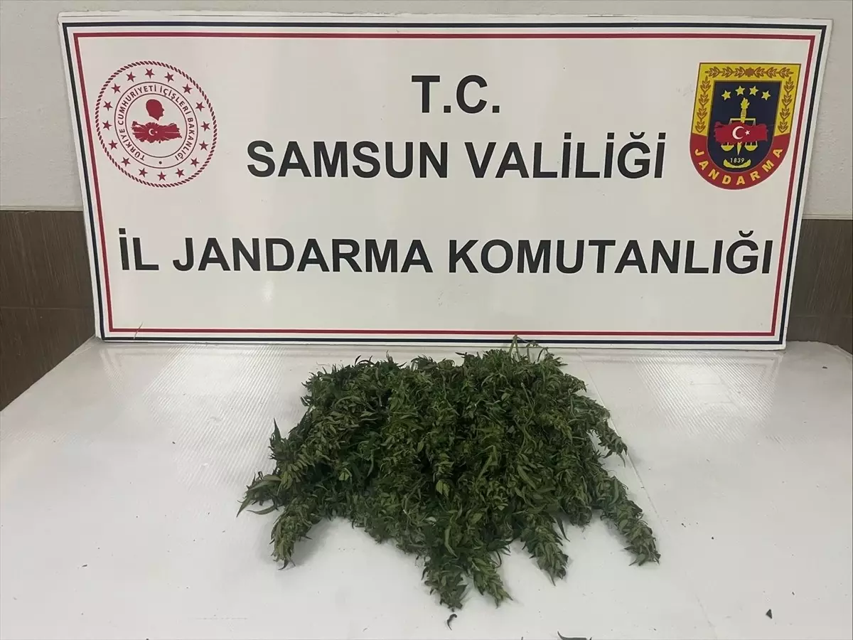 Samsun\'da Uyuşturucu Operasyonu: 1 Gözaltı