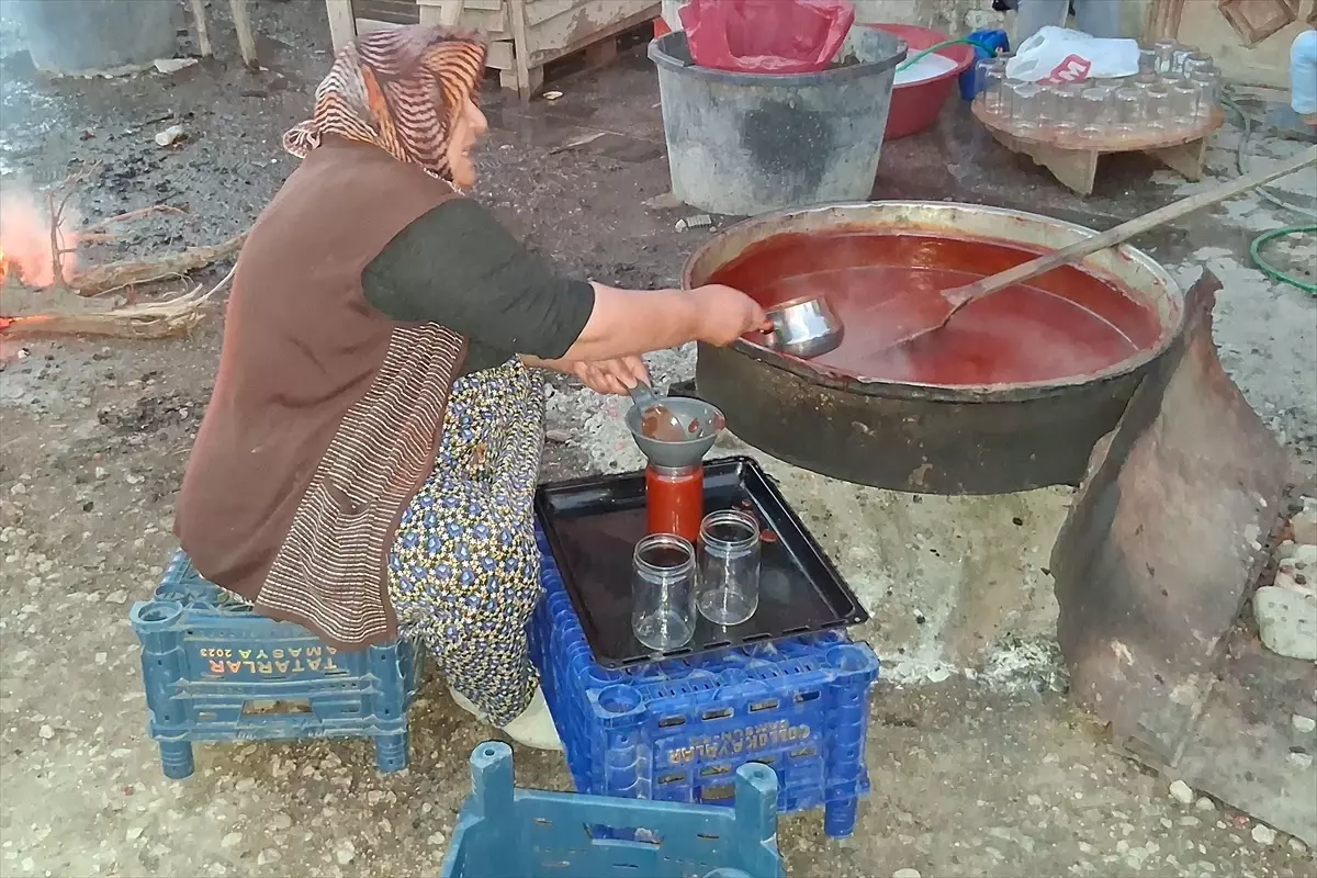 Havza\'da Kadınlar Kuşburnu Marmeladı Hazırlıyor