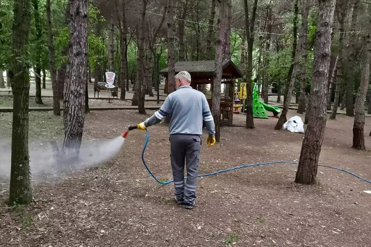 Samsun\'da Kene İlaçlama Seferberliği