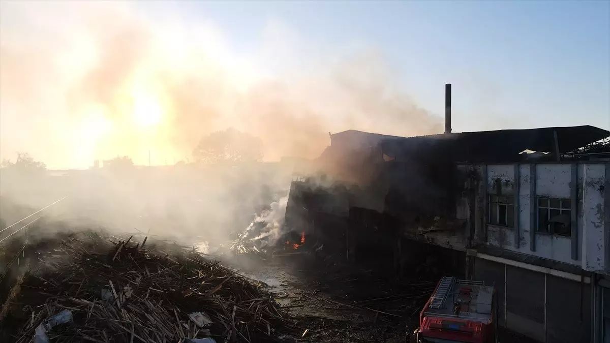 Samsun\'da Kereste Fabrikasında Yangın Kontrol Altına Alındı