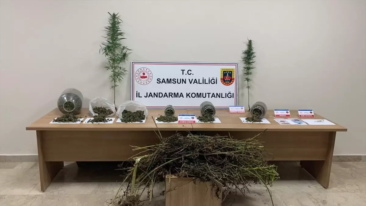 Samsun\'da Uyuşturucu Operasyonu: 1 Gözaltı