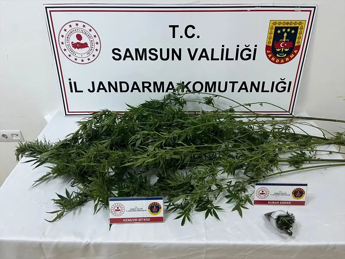 Samsun\'da uyuşturucu operasyonu: 3 gözaltı