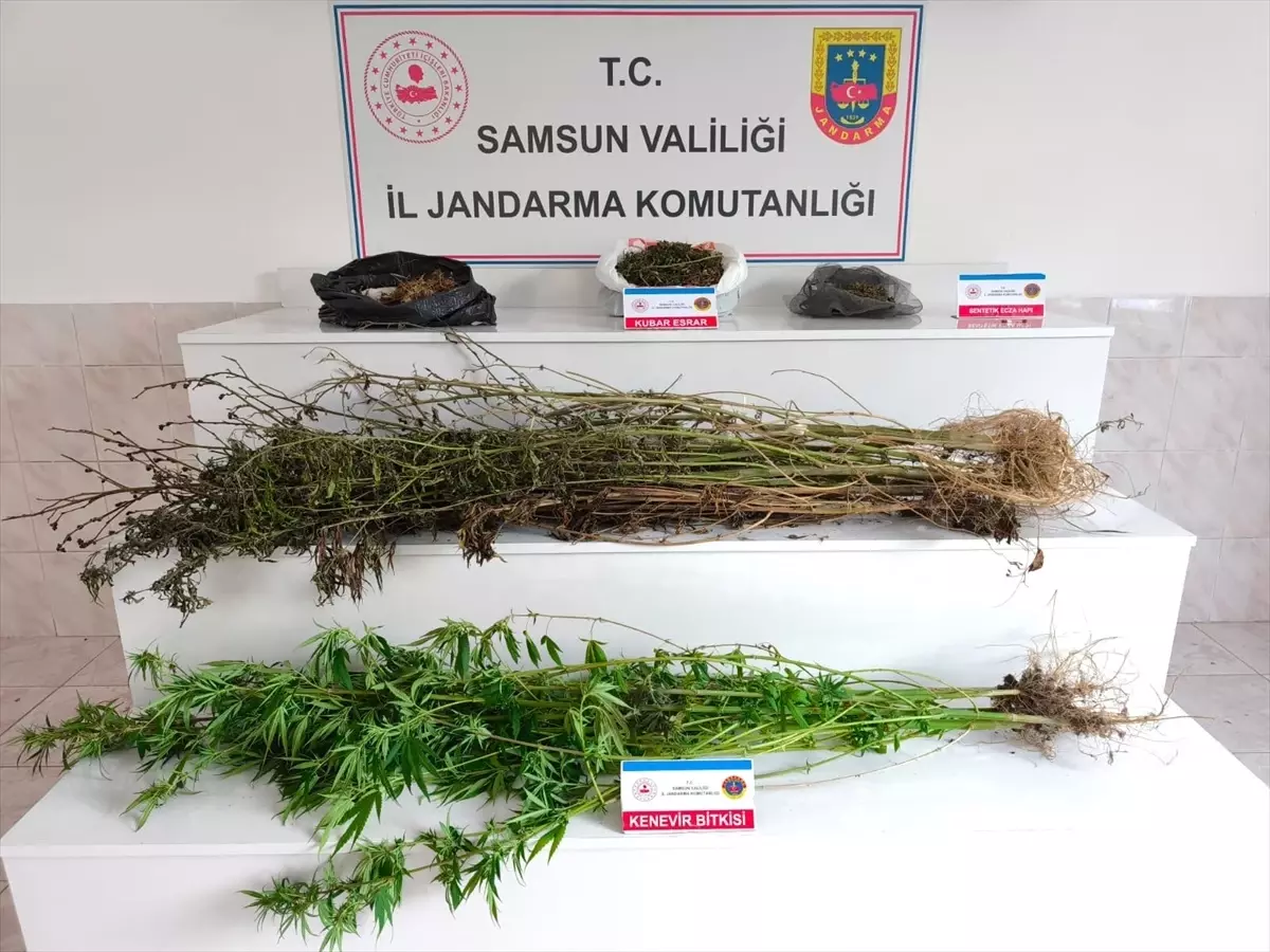 Bafra\'da Uyuşturucu Operasyonu: 2 Tutuklama