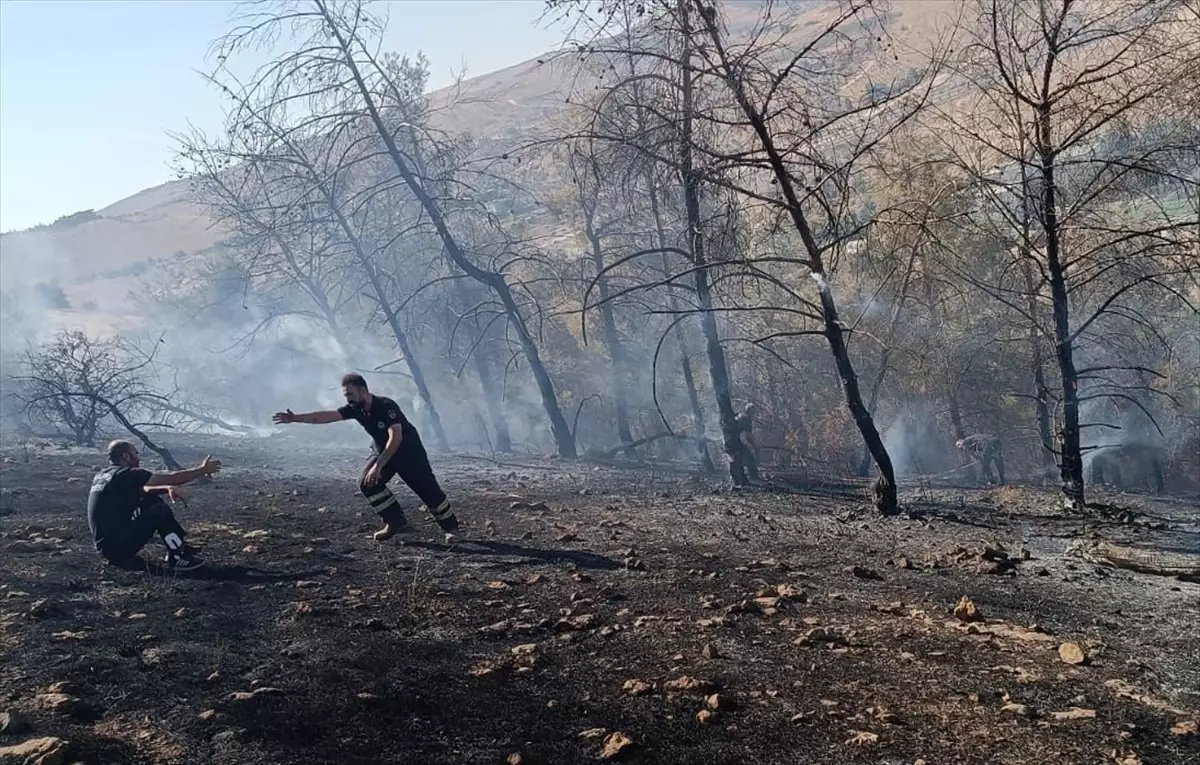 Şanlıurfa\'da Orman Yangını Kontrol Altında