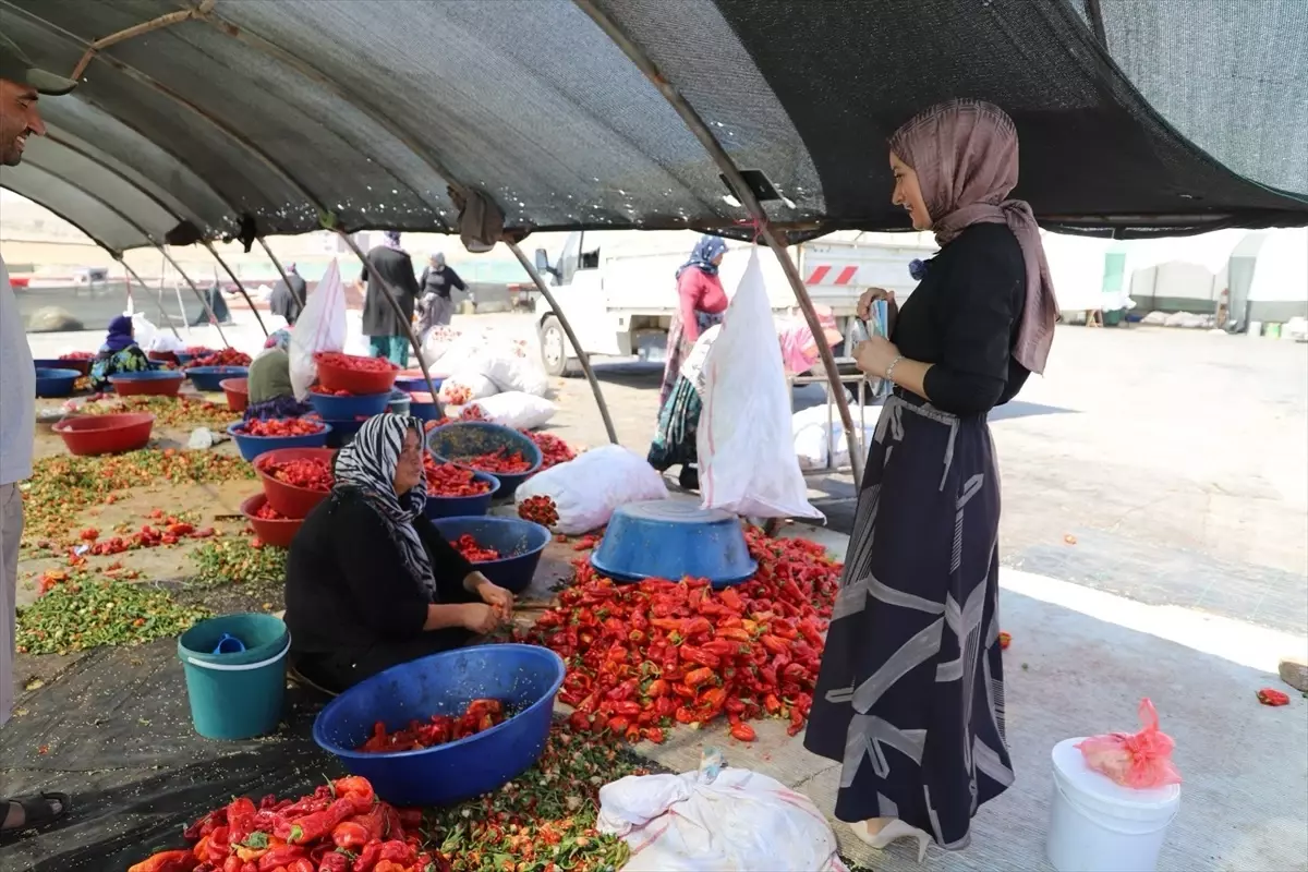 Şanlıurfa\'da Mobil Sağlık Hizmeti