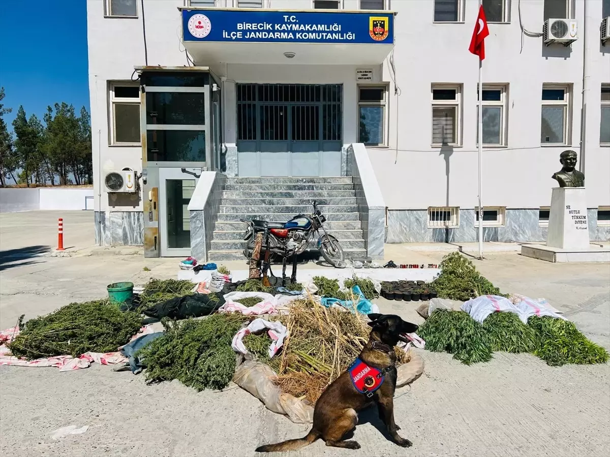 Birecik\'te Uyuşturucu Operasyonu: 3 Gözaltı