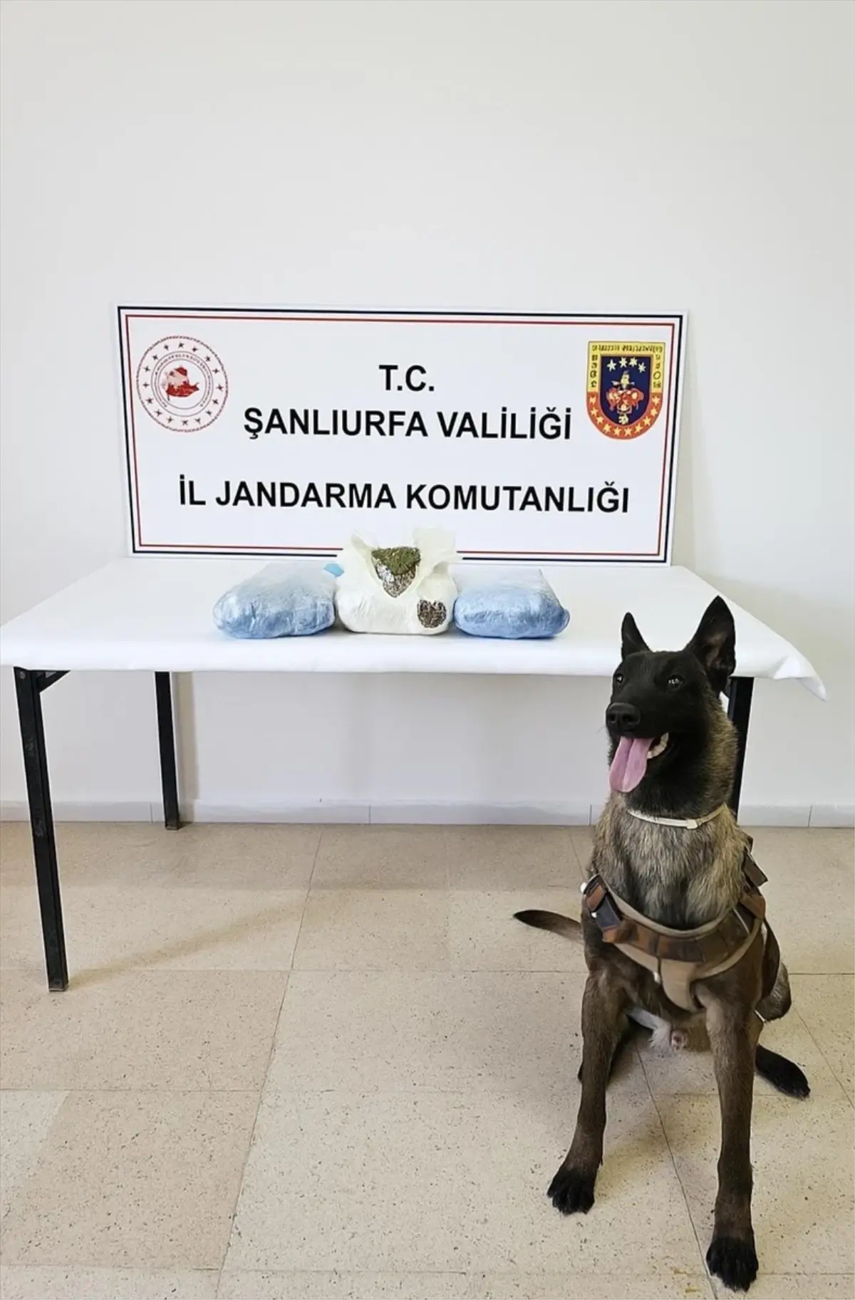 Şanlıurfa\'da Uyuşturucu Operasyonu: 3 Gözaltı