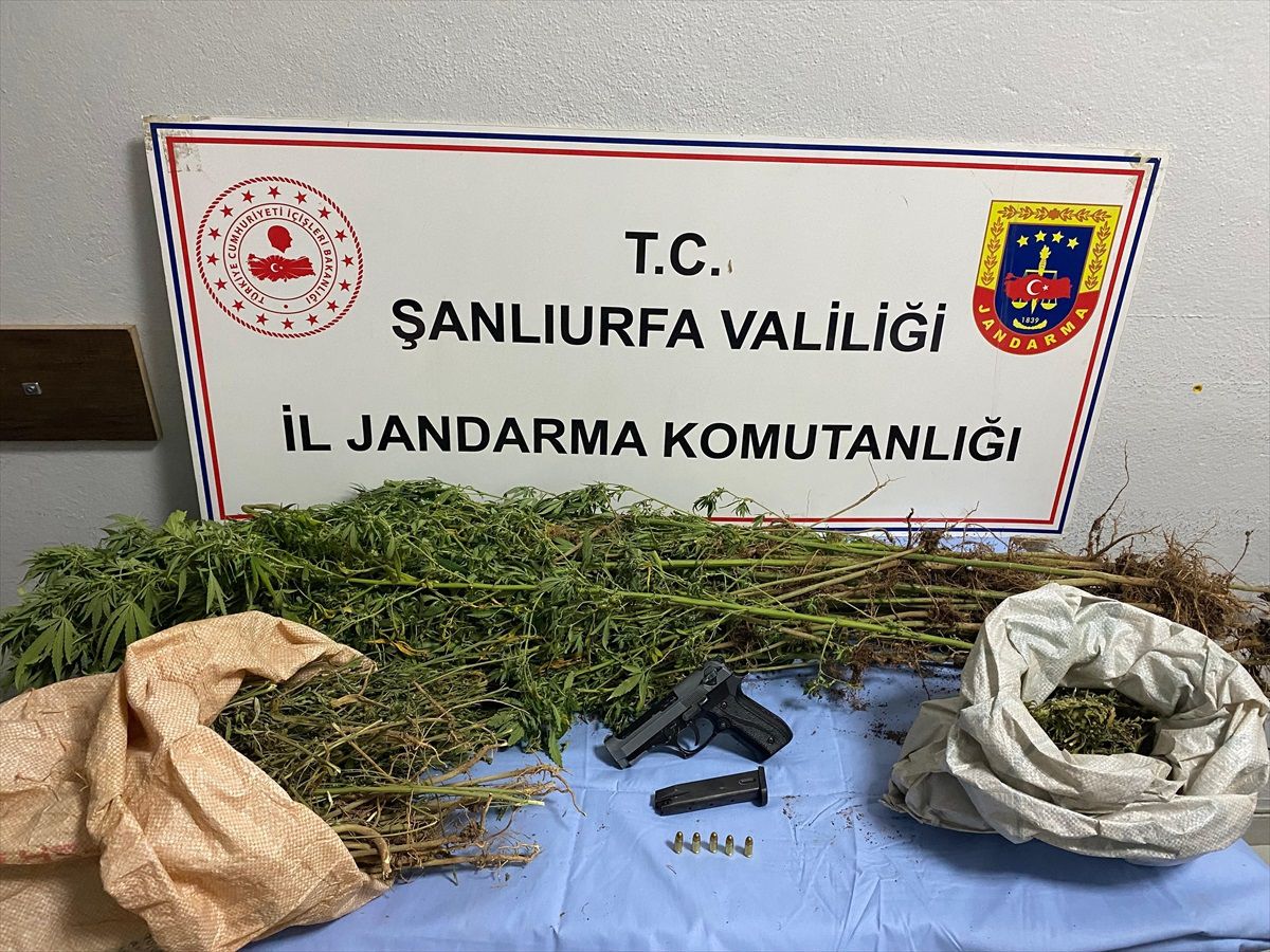 Şanlıurfa\'da Uyuşturucu Operasyonu