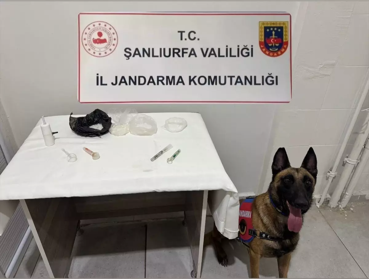 Viranşehir\'de Uyuşturucu Operasyonu