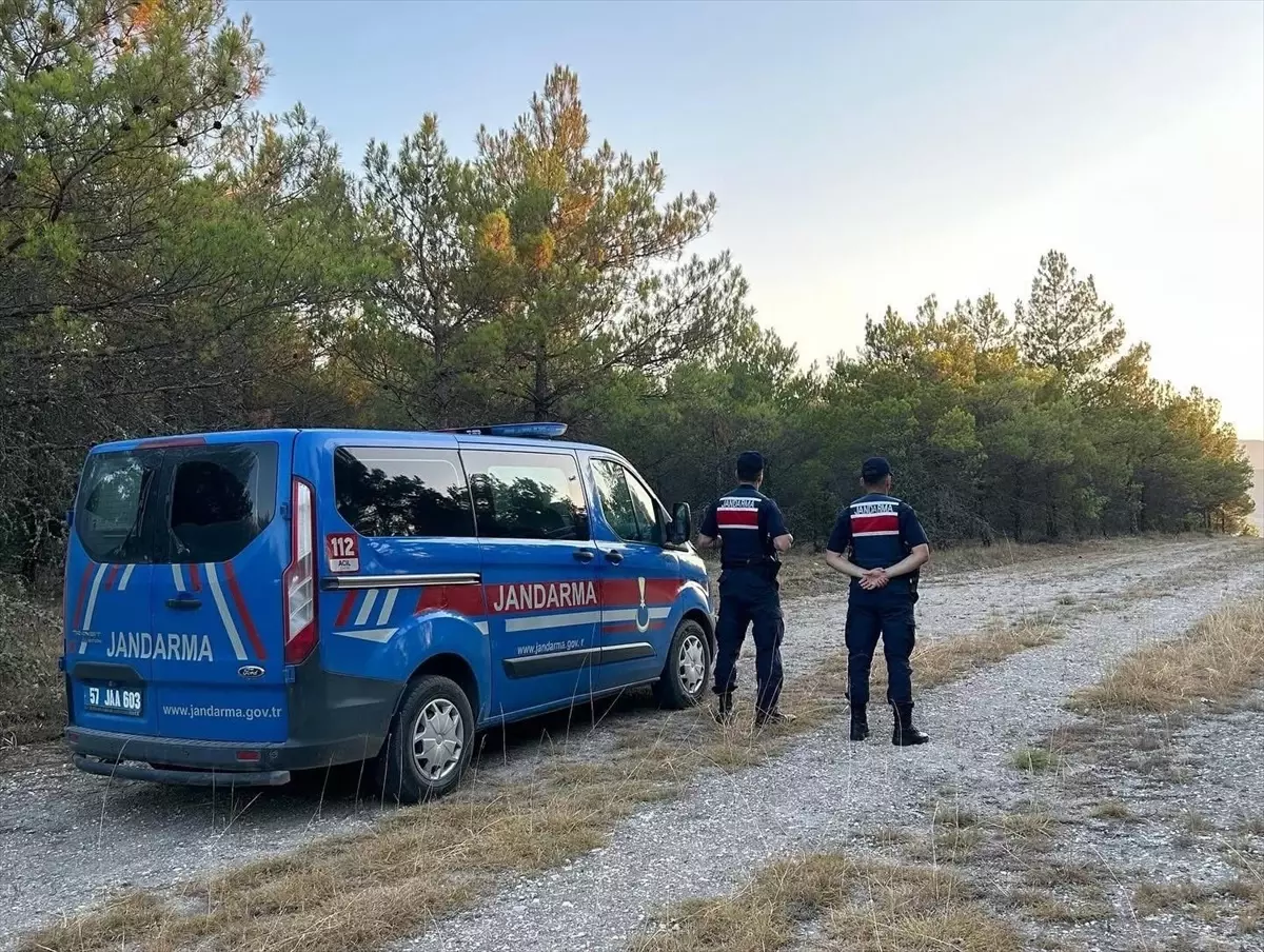 Saraydüzü\'nde Orman Denetimi