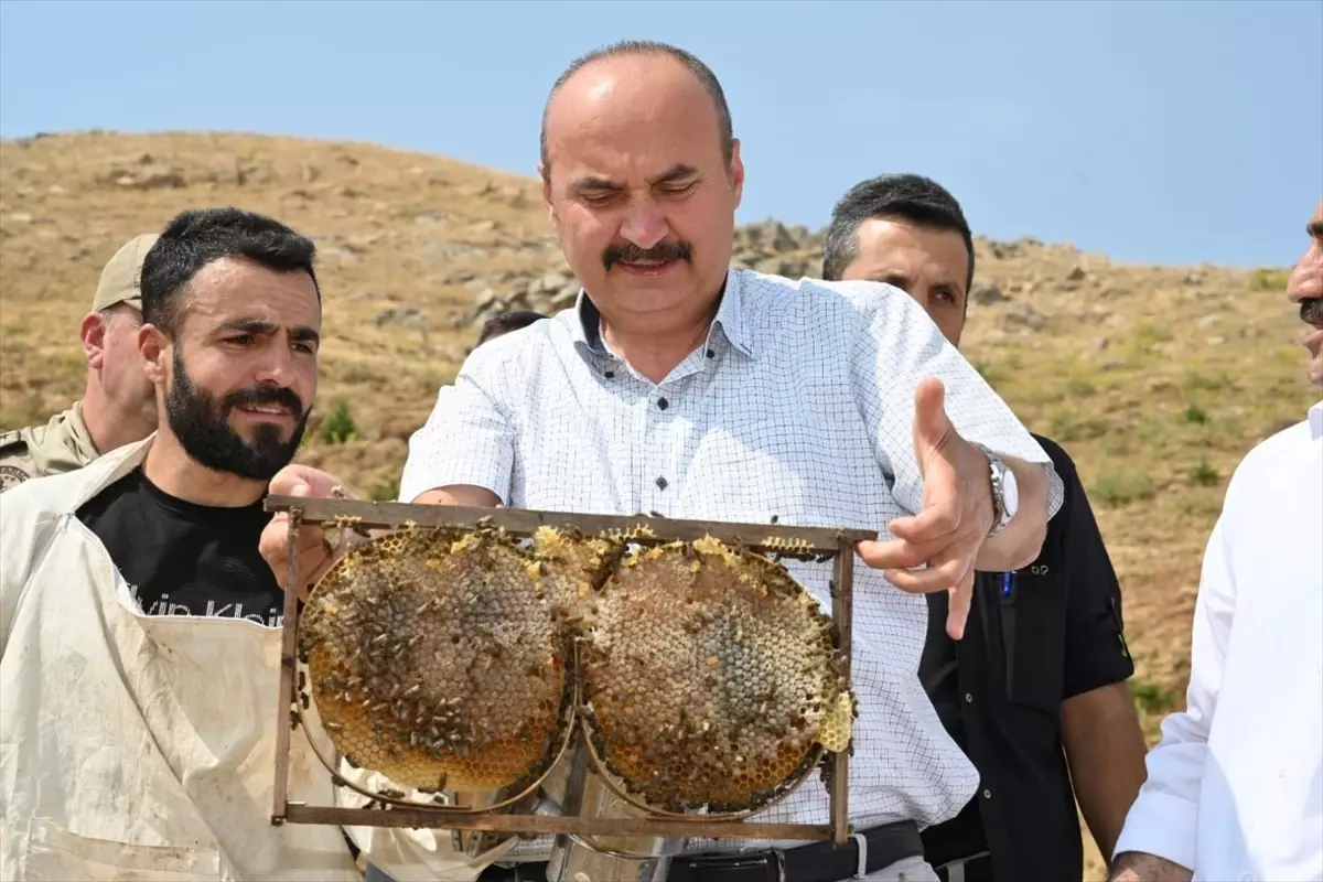 Sason\'da Bal Hasadı Başladı