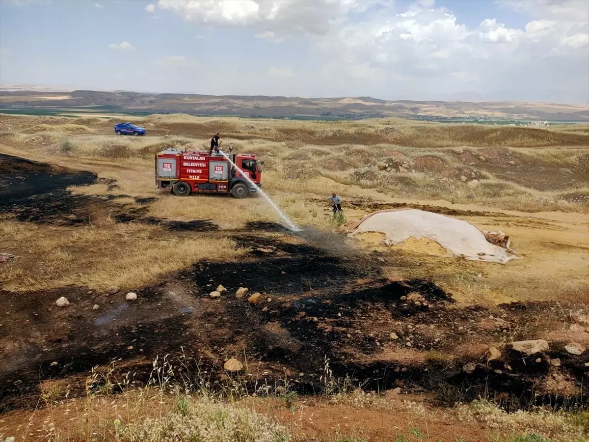 Siirt\'te Buğday Tarlasında Yangın
