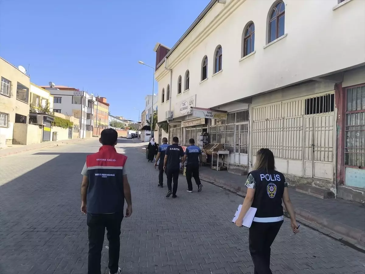 Siirt\'te Okul Çevrelerinde Denetim