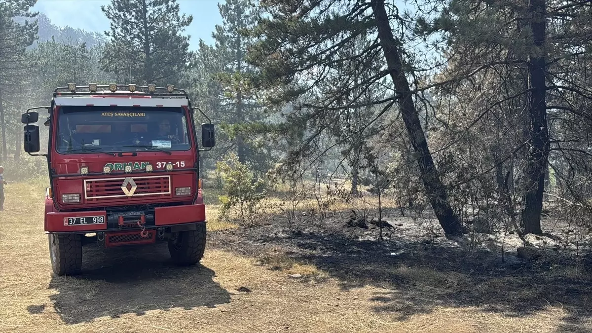 Sinop\'ta Orman Yangınına Müdahale Sürüyor