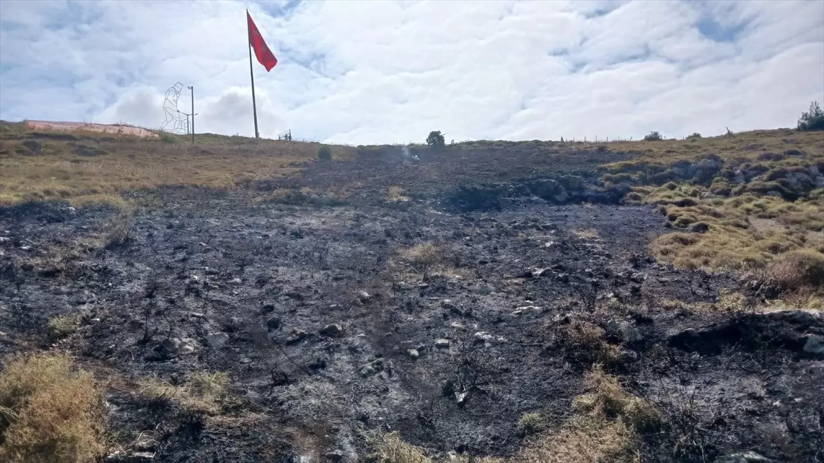 Sinop\'ta Makilik Alanda Yangın Söndürüldü