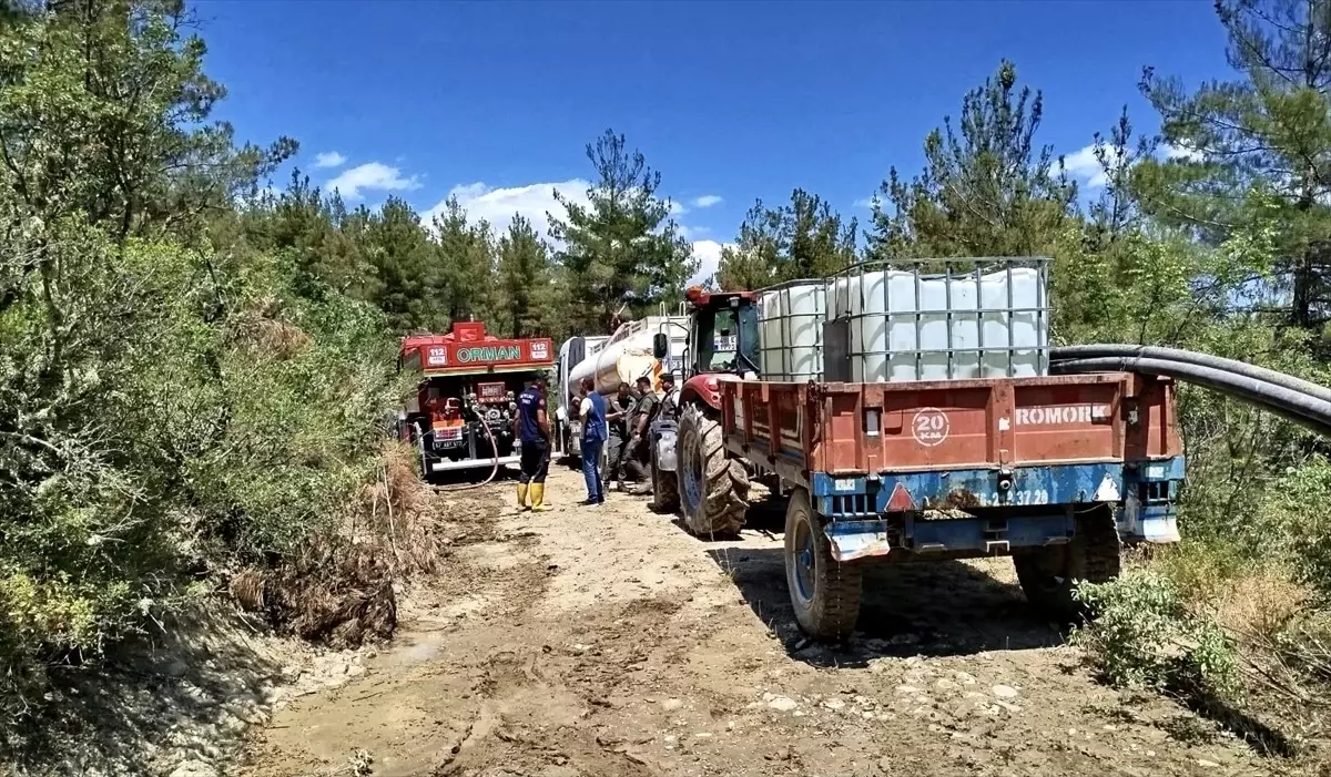 Boyabat\'ta Orman Yangını Söndürüldü