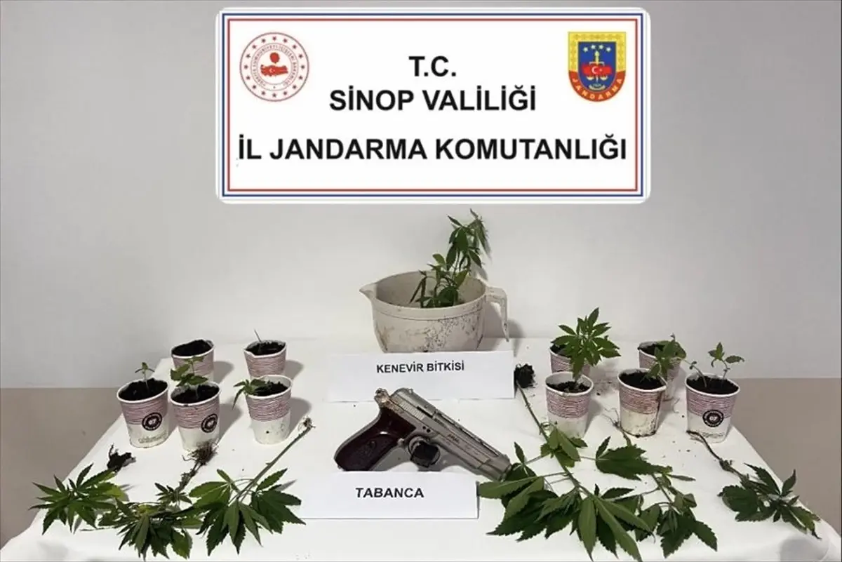 Sinop\'ta Uyuşturucu Operasyonu
