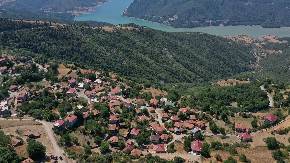 Durağan\'daki Orman Yangını Kontrol Altına Alındı