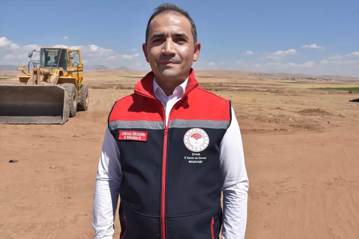Silopi\'de 1000 Kişiye İstihdam Yaratacak Tarım Projesi