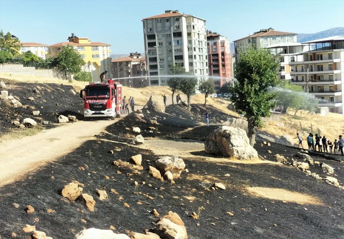 Cizre\'de Anız Yangını Söndürüldü