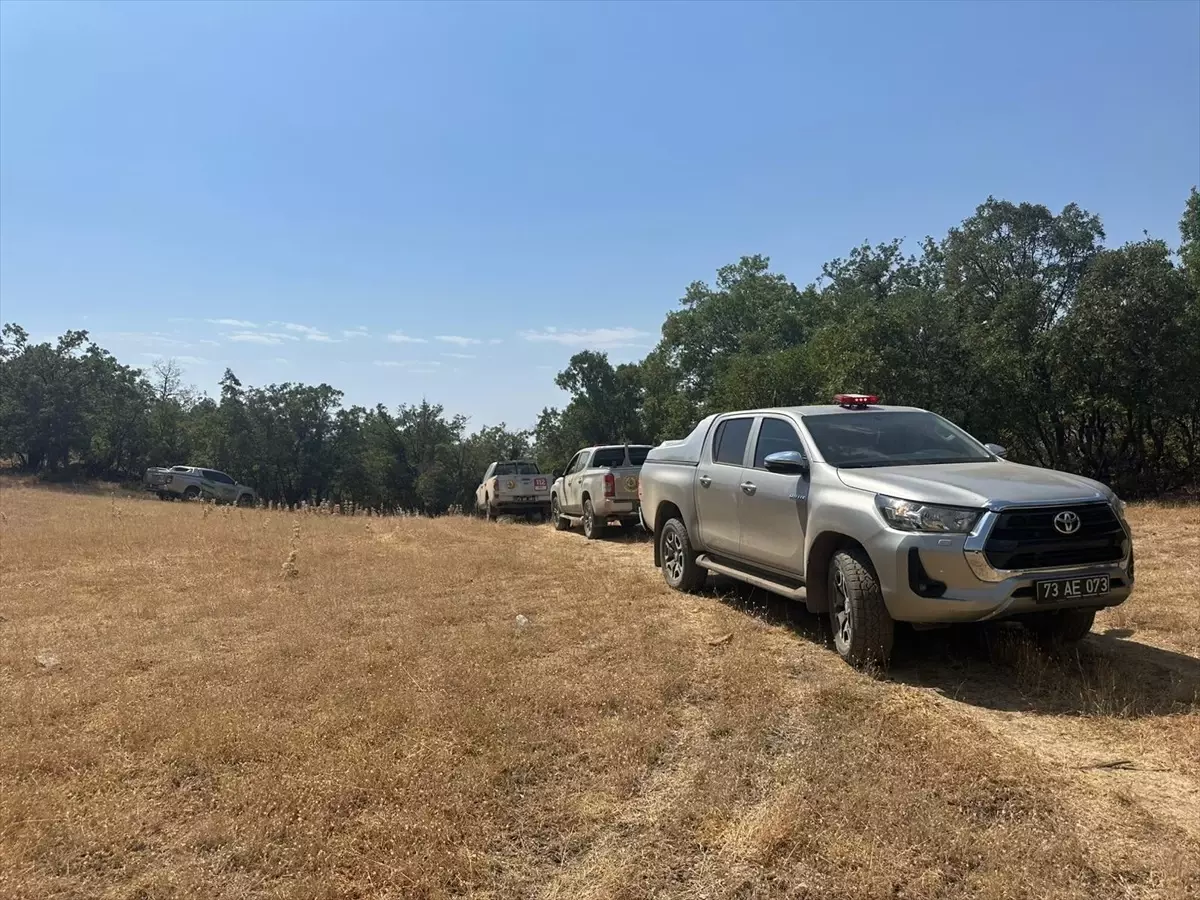 Şırnak\'ta Orman Yangınına Mücadele Başladı