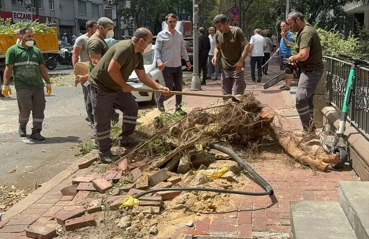 Şişli\'de Ağaç Devrildi, Cadde Kapandı