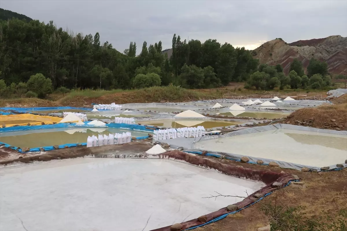 Sivas\'tan Japonya\'ya Esmer Tuz İhracı