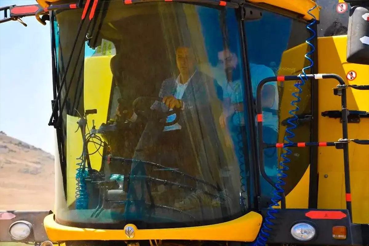 Buğday Hasadı Başladı